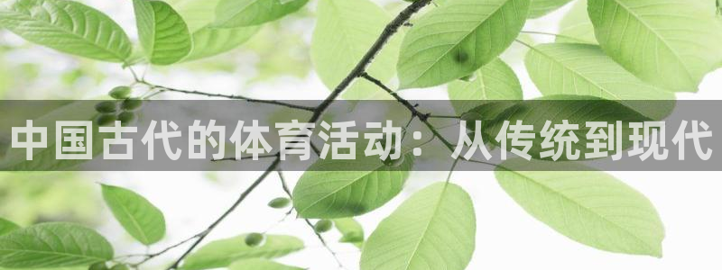 米兰体育最新版下载：中国古代的体育活动：从传统到现代