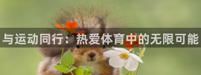 米兰体育下载：与运动同行：热爱体育中的无限可能