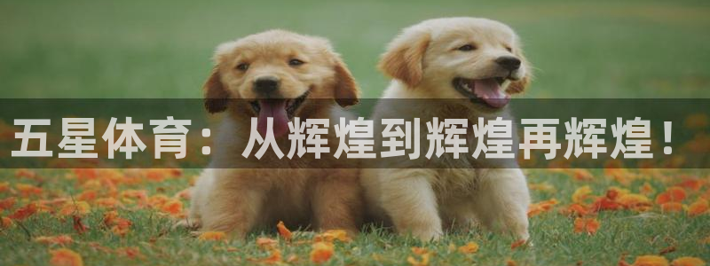 米兰体育中心：五星体育：从辉煌到辉煌再辉煌！