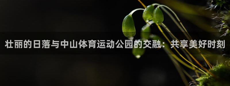 米兰体育报：壮丽的日落与中山体育运动公园的交融：共享美好时刻