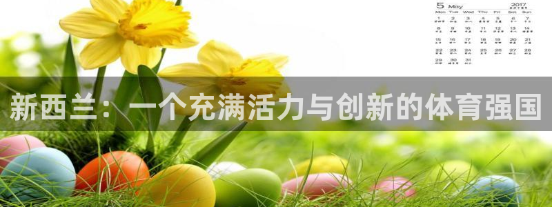 米兰体育app下载：新西兰：一个充满活力与创新的体育强国