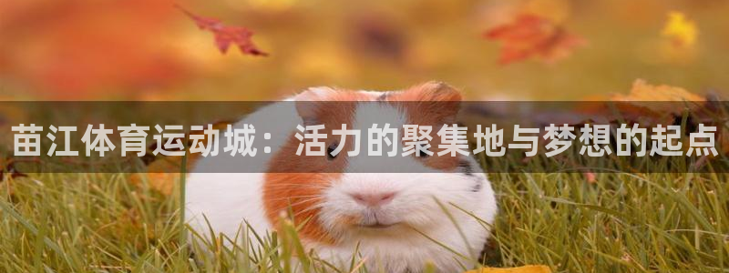 米兰体育入口：苗江体育运动城：活力的聚集地与梦想的起点