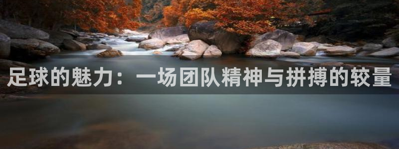 米兰体育报：足球的魅力：一场团队精神与拼搏的较量