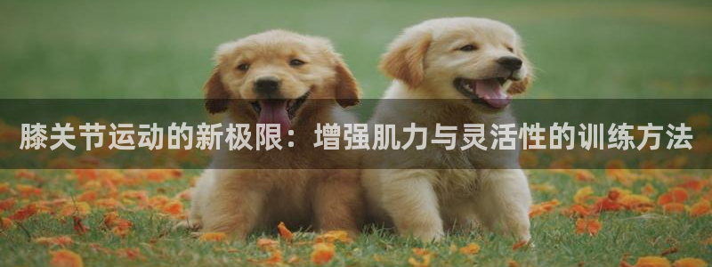 米兰体育在线：膝关节运动的新极限：增强肌力与灵活性的训练方法