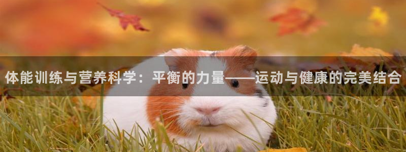 米兰体育网站：体能训练与营养科学：平衡的力量——运动与健康的完美结合