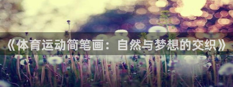 米兰体育app下载：《体育运动简笔画：自然与梦想的交织》