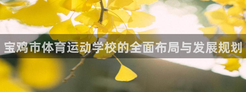 米兰体育网址：宝鸡市体育运动学校的全面布局与发展规划